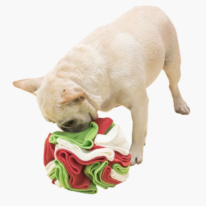 Snuffle Ball for Dogs - PawMaze-Green - Red-15 cm-State of Style