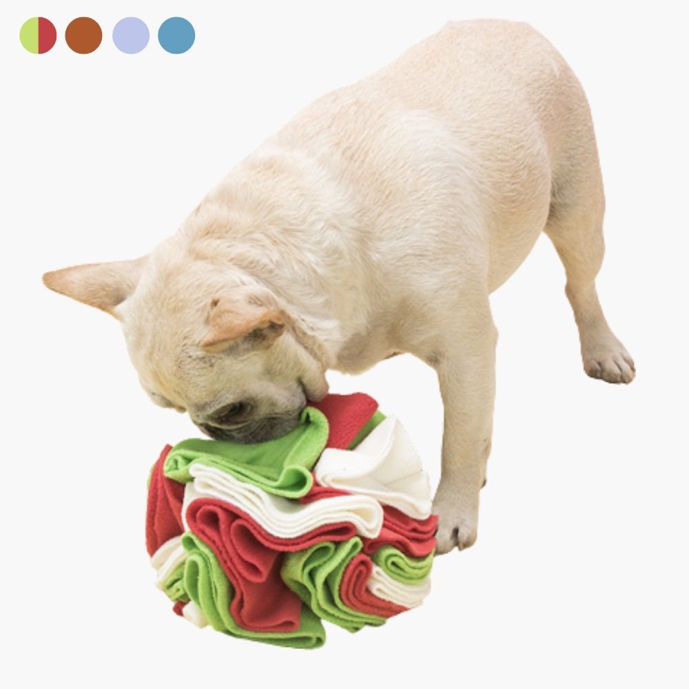 Snuffle Ball for Dogs - PawMaze-Green-Red-15cm-State of Style