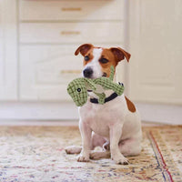 Soft Cuddly Dinosaur for Pets (Buy 1 Get 1 Free) - DinoPal-Green + Green-State of Style
