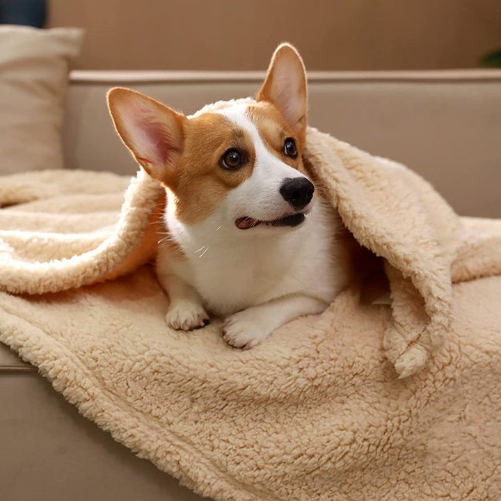 Soft Puppy Blanket - SnuggleFur Fleece-Grey-80 x 100 cm-State of Style