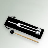 Sound Therapy Instrument - VibeTherapy-State of Style