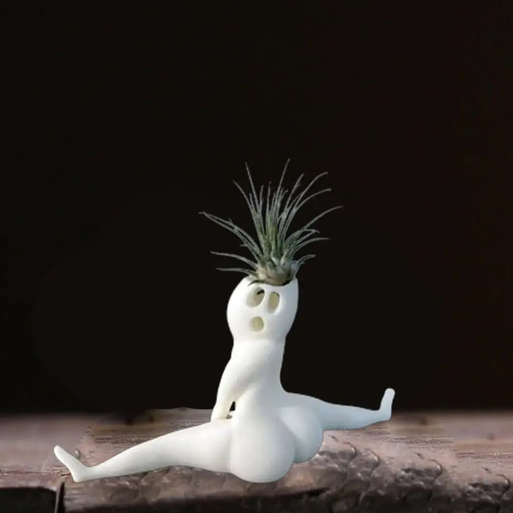Spooky Shape Air Plant Display - SpookyBuddy-State of Style