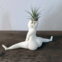 Spooky Shape Air Plant Display - SpookyBuddy-State of Style