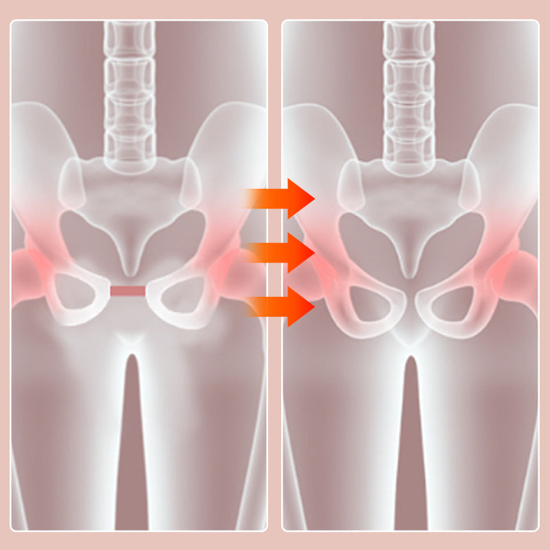 Adjustable Pelvic and Thigh Trainer - FlexFit Pro