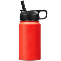 Stainless Steel Insulated Water Bottle with Straw - For Cold & Hot Drinks-Red-400 ml-State of Style