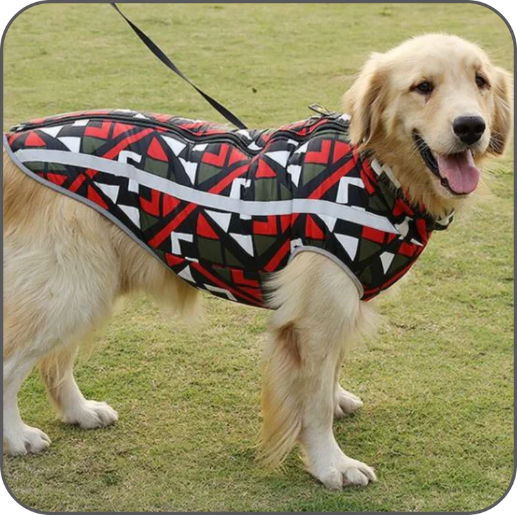 StormGuard Waterproof Winter Dog Coat-Red Graffiti-XS-State of Style