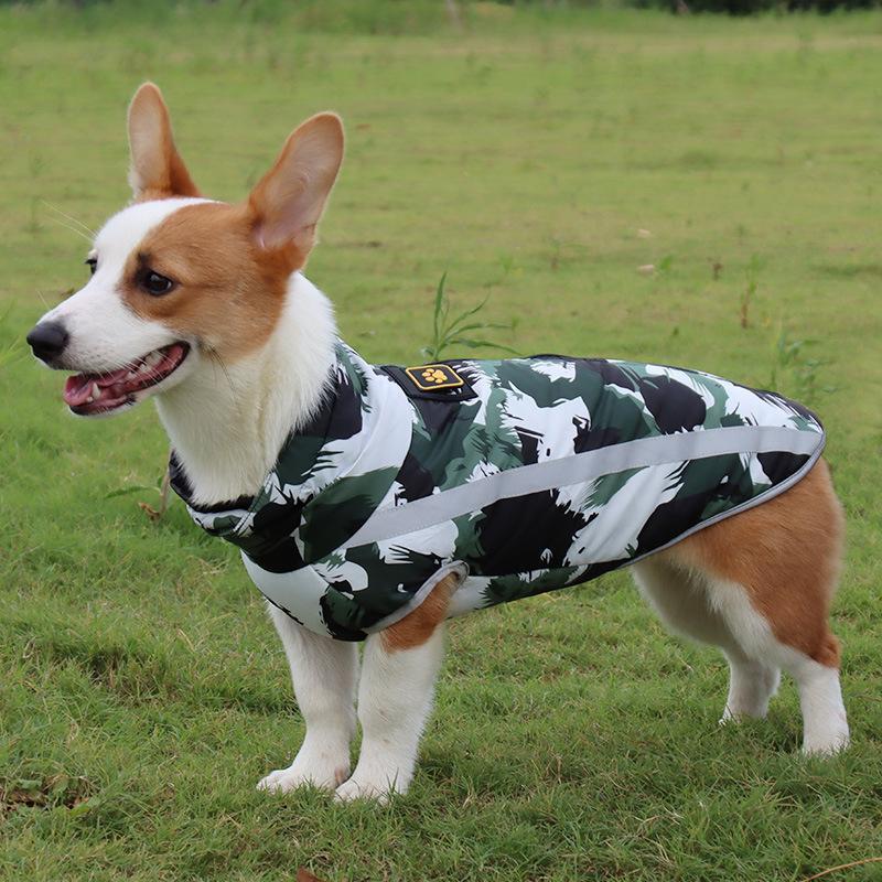 StormGuard Waterproof Winter Dog Coat-Red Graffiti-XS-State of Style