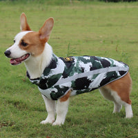 StormGuard Waterproof Winter Dog Coat-Red Graffiti-XS-State of Style