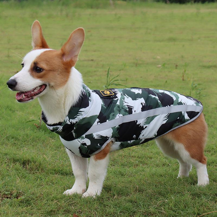 StormGuard Waterproof Winter Dog Coat-Red Graffiti-XS-State of Style