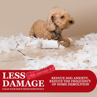 Strong Rubber Chew Toy for Dogs-Red-State of Style