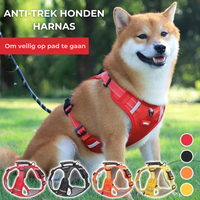 Sturdy & Comfortable Dog Harness - ActivePup™-Red-XS-State of Style