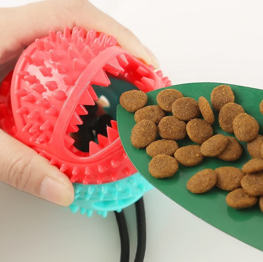 Sturdy Dog Tug Toy - PlayPaw-Blue + Pink-State of Style