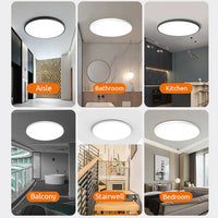 Stylish LED Ceiling Light - OrbGlow-D 24CM-White-Daylight-State of Style