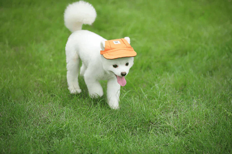 Stylish Round Brim Dog Hat - SunnyPaws-Striped-S-State of Style