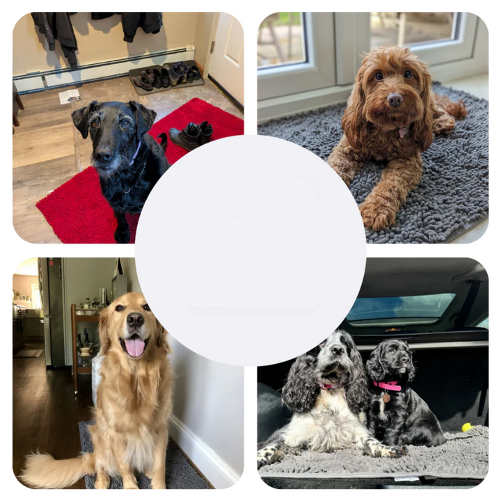 Super Absorbent Dog Mat – PawMat-Beige-40 X 60 cm-State of Style