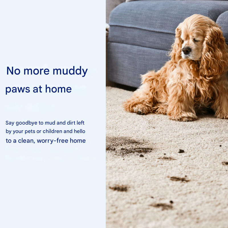 Super Absorbent Dog Mat – PawMat-Beige-40 X 60 cm-State of Style