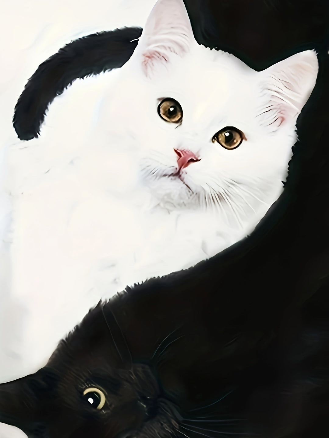 T-shirt with Cat Print and Trendy Colour Blocks - Marit-S-State of Style