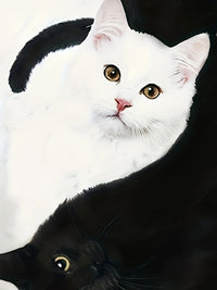 T-shirt with Cat Print and Trendy Colour Blocks - Marit-S-State of Style