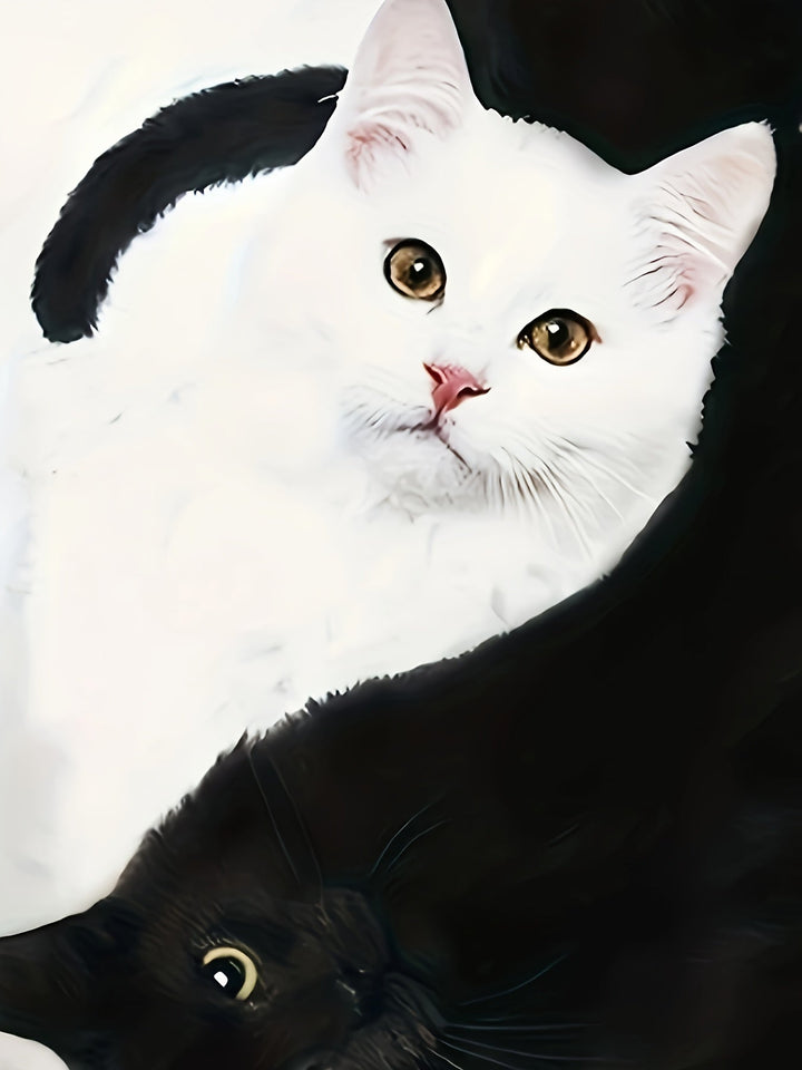 T-shirt with Cat Print and Trendy Colour Blocks - Marit-S-State of Style