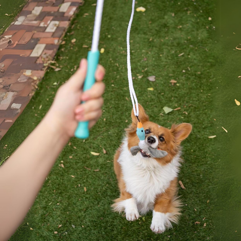 Tail Teaser Dog Play Stick - Perfect for Play and Exercise!-State of Style
