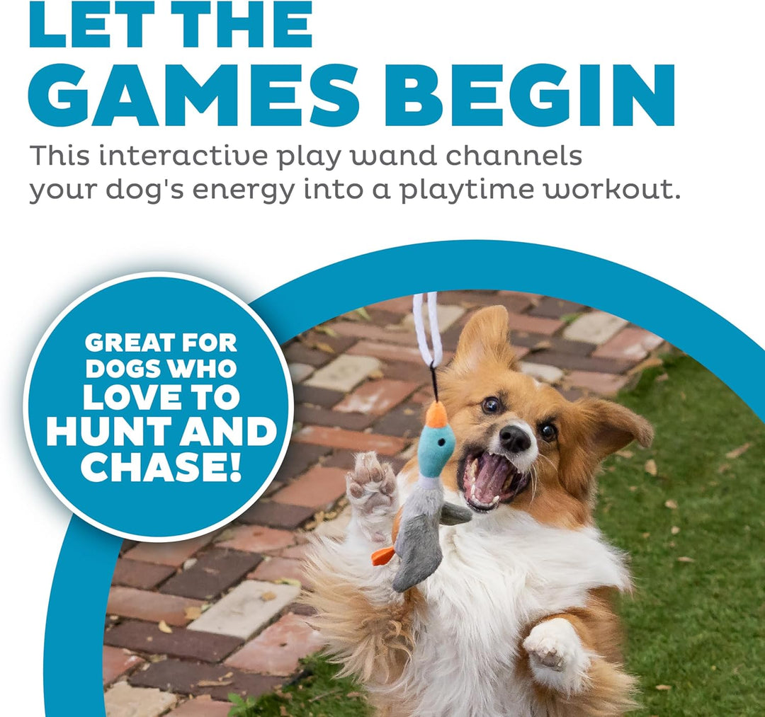 Tail Teaser Hondenspeelstok - Perfect voor Spel en Beweging!-State of Style