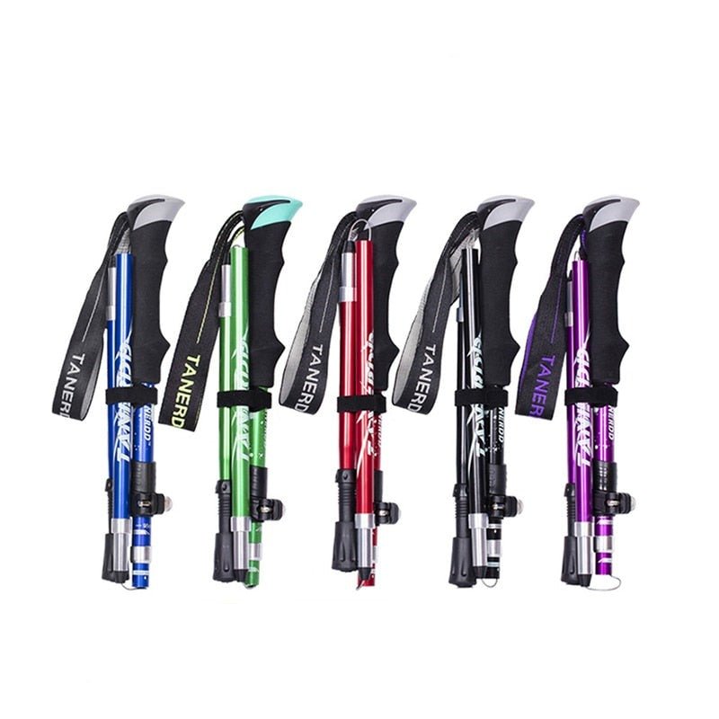 Telescopic Walking Poles – TrailMaster-Purple-State of Style