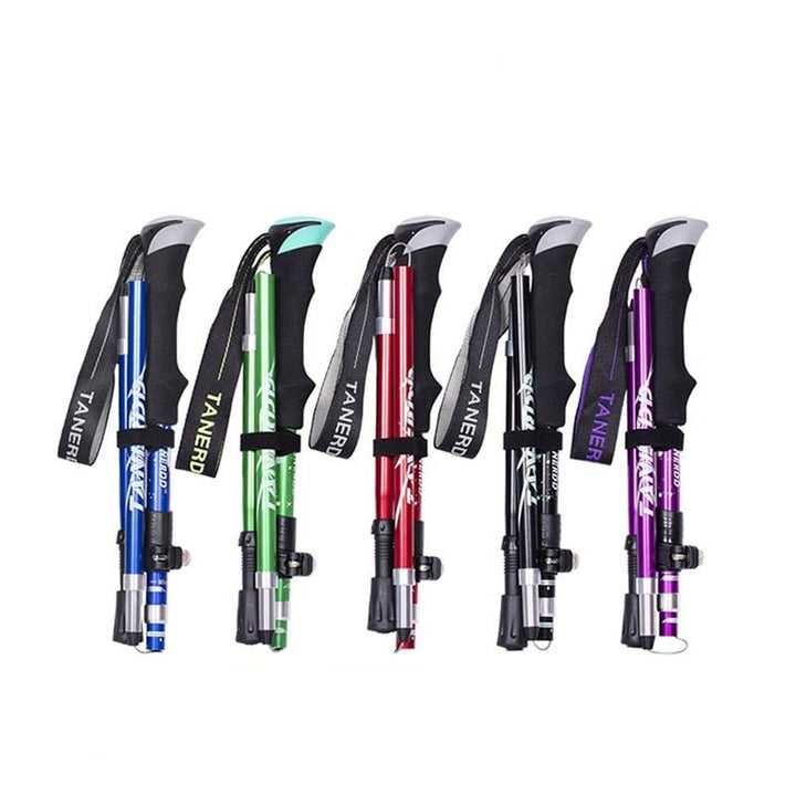 Telescopic Walking Poles – TrailMaster-Purple-State of Style