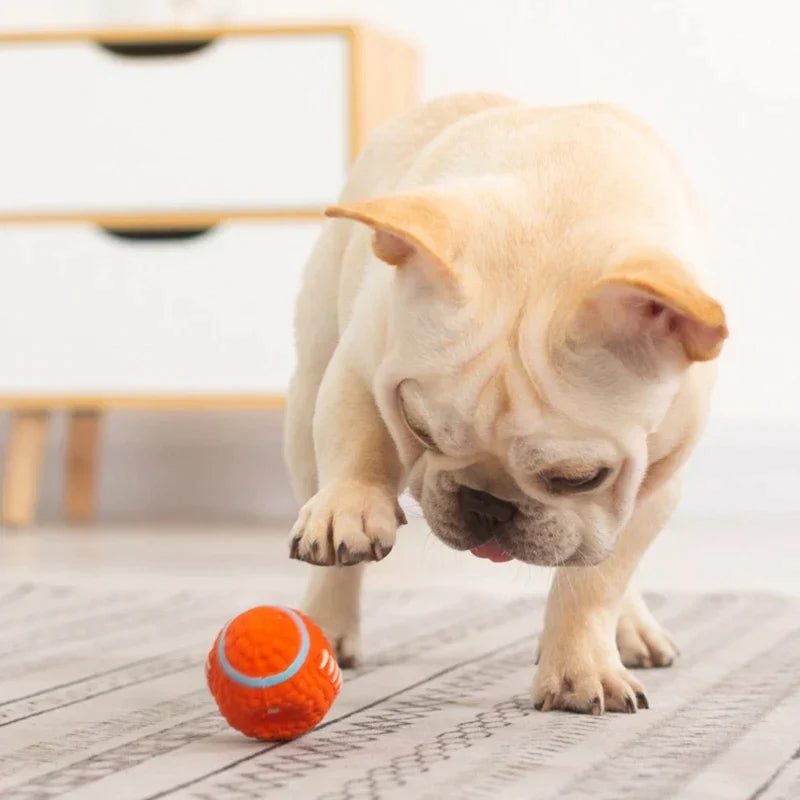 The Indestructible Playmate for Dogs - KryptoChew-Rugby Ball-S-State of Style