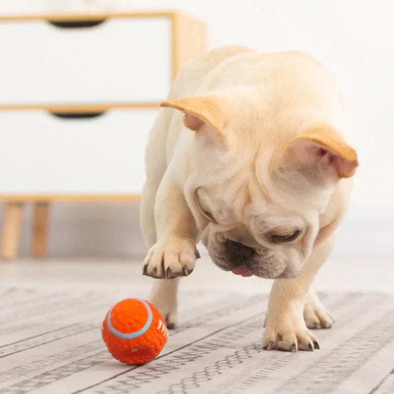 The Indestructible Playmate for Dogs - KryptoChew-Rugby Ball-Small-State of Style