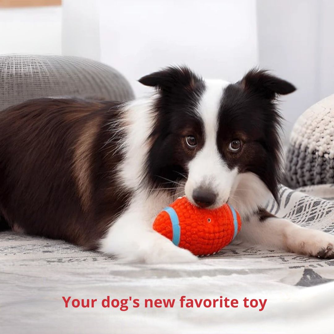 The Indestructible Playmate for Dogs - KryptoChew-Rugby Ball-Small-State of Style