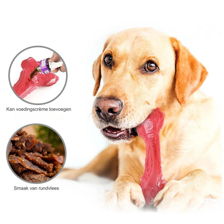 The Playful Dental Care for Dogs - BuddyChew-S-State of Style