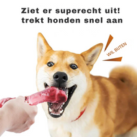The Playful Dental Care for Dogs - BuddyChew-S-State of Style