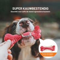 The Playful Dental Care for Dogs - BuddyChew-S-State of Style