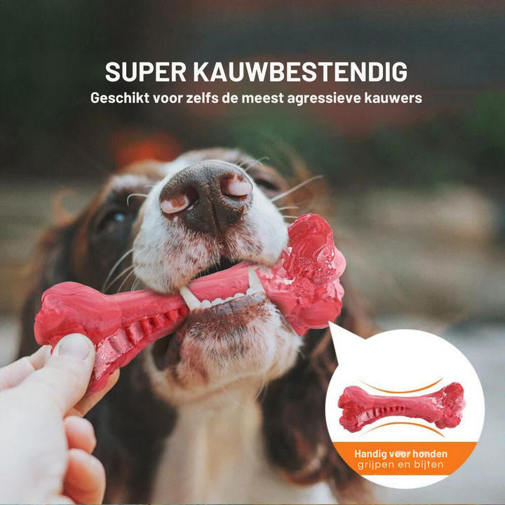 The Playful Dental Care for Dogs - BuddyChew-S-State of Style