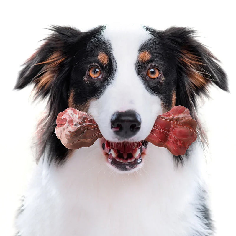 The Playful Dental Care for Dogs - BuddyChew-S-State of Style