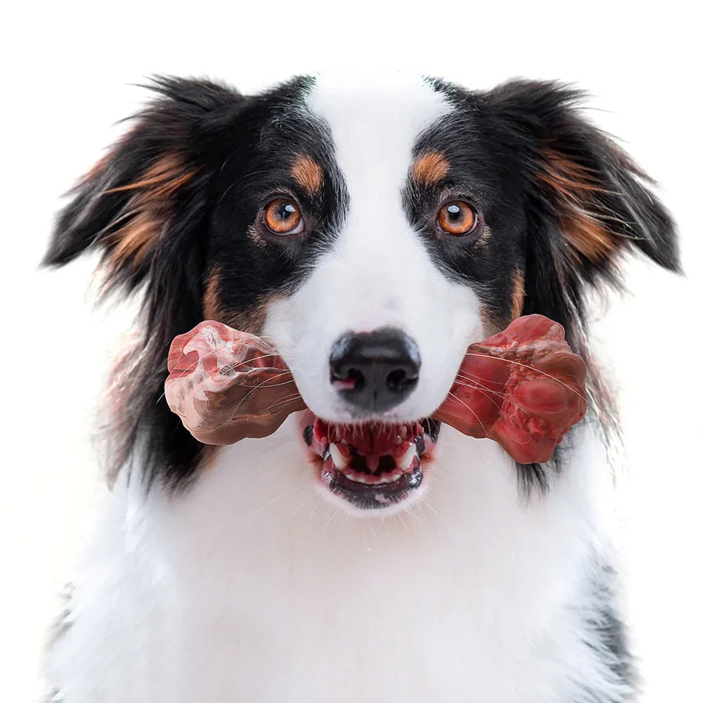 The Playful Dental Care for Dogs - BuddyChew-S-State of Style