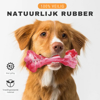 The Playful Dental Care for Dogs - BuddyChew-S-State of Style