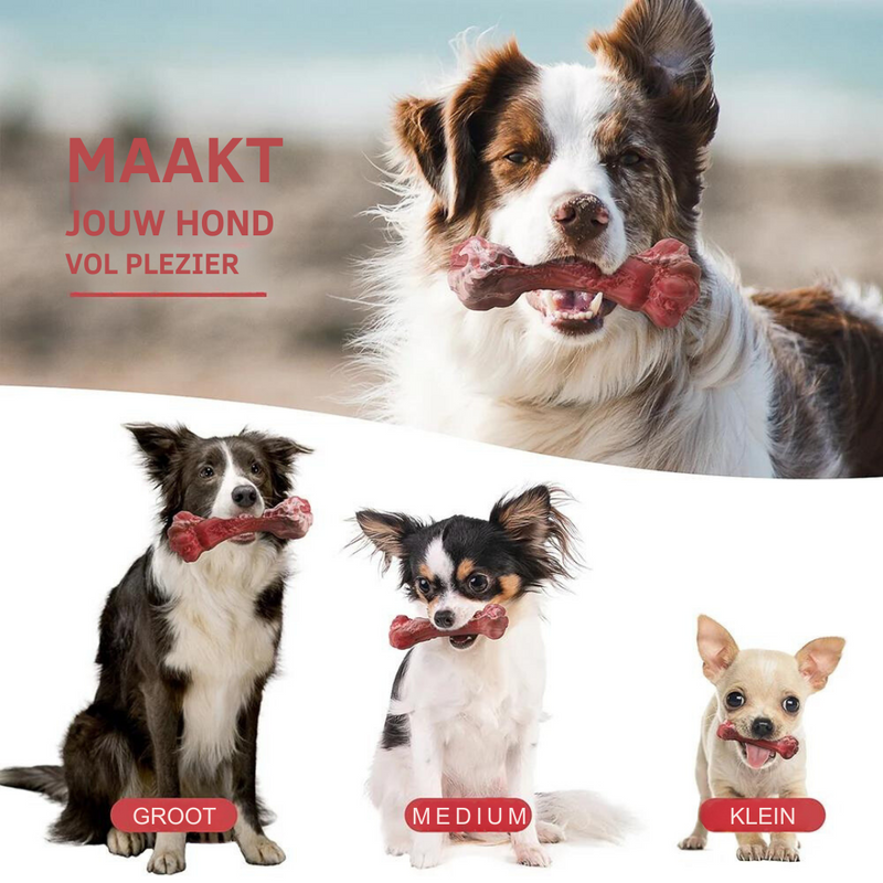 The Playful Dental Care for Dogs - BuddyChew-S-State of Style