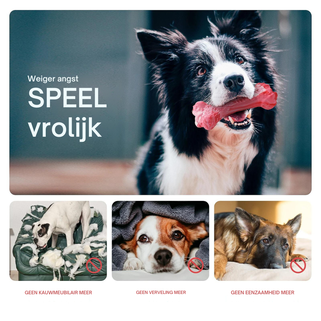The Playful Dental Care for Dogs - BuddyChew-S-State of Style