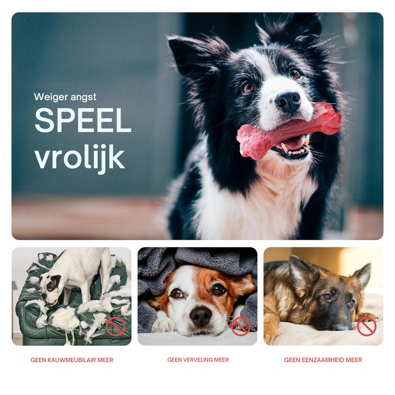 The Playful Dental Care for Dogs - BuddyChew-S-State of Style