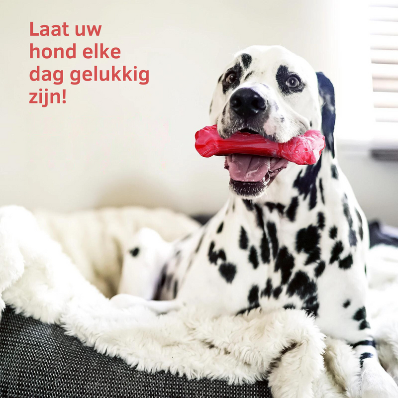 The Playful Dental Care for Dogs - BuddyChew-S-State of Style