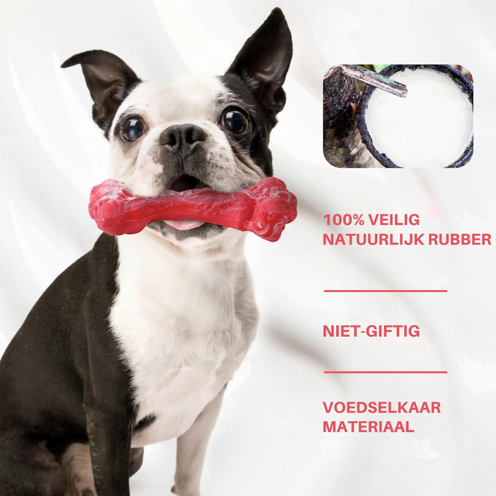 The Playful Dental Care for Dogs - BuddyChew-S-State of Style