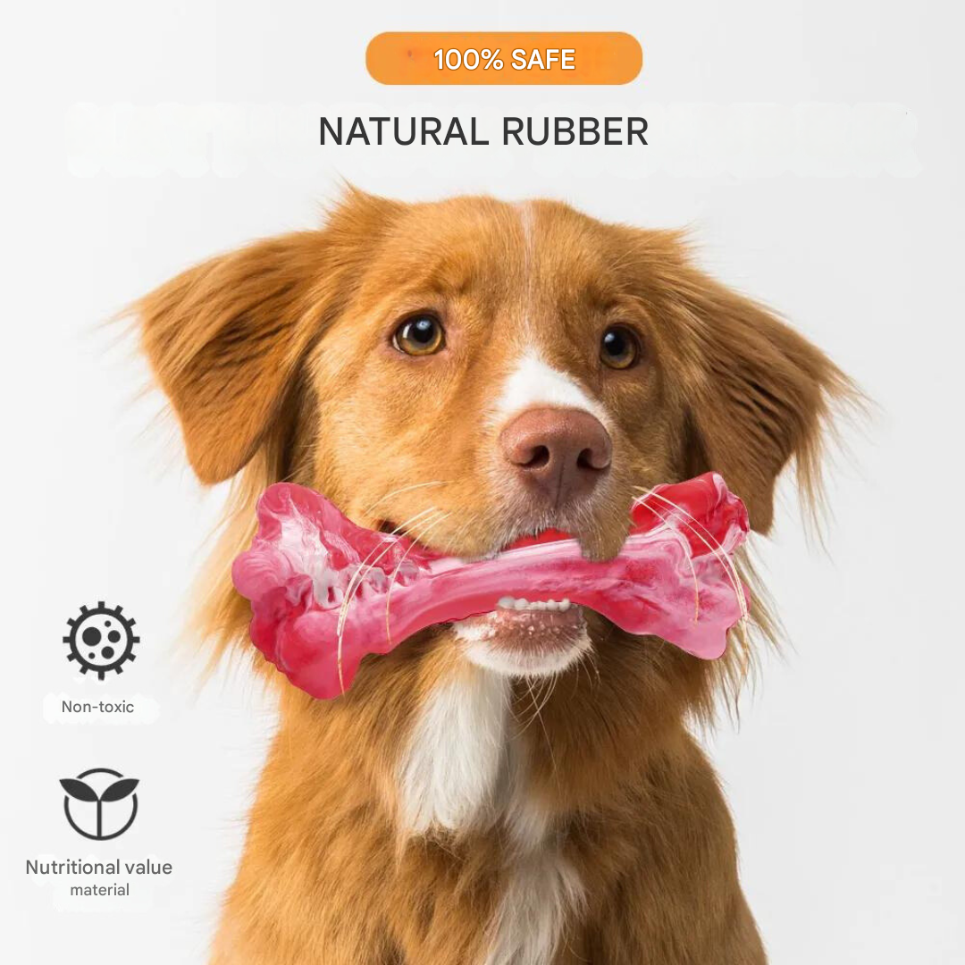 The Playful Dog Dentist - BuddyChew-S-State of Style