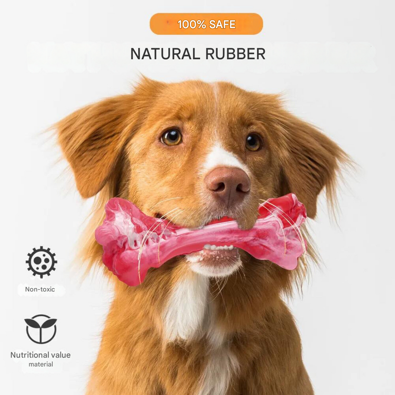 The Playful Dog Dentist - BuddyChew-S-State of Style