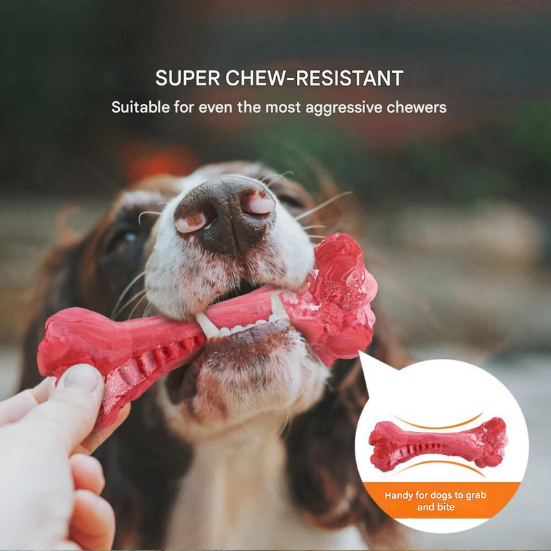 The Playful Dog Dentist - BuddyChew-S-State of Style