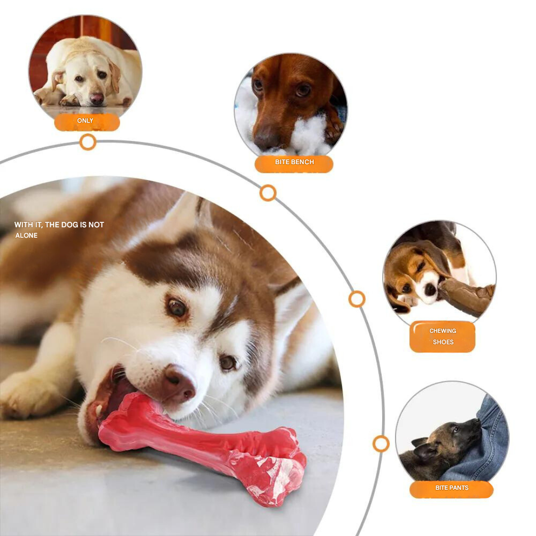 The Playful Dog Dentist - BuddyChew-S-State of Style