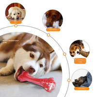 The Playful Dog Dentist - BuddyChew-S-State of Style