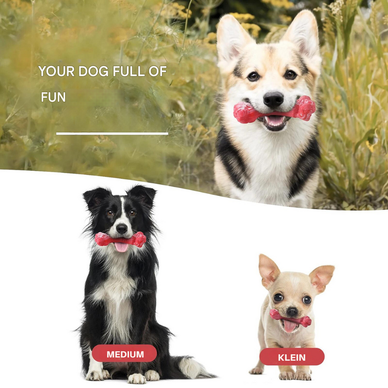 The Playful Dog Dentist - BuddyChew-S-State of Style