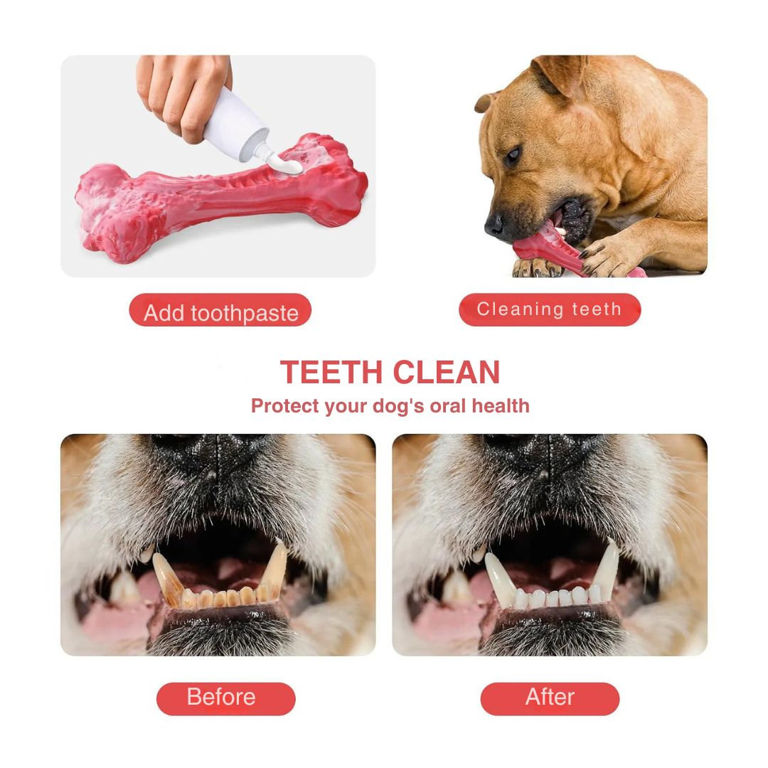 The Playful Dog Dentist - BuddyChew-S-State of Style