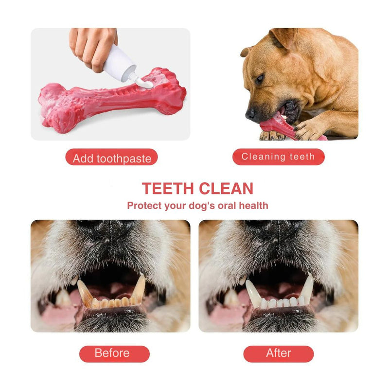 The Playful Dog Dentist - BuddyChew-S-State of Style